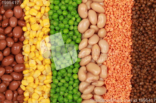 Image of Collection of lentils, peas, beans and corn