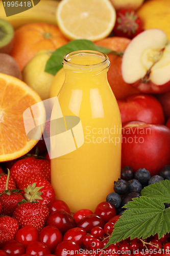 Image of Fresh orange juice