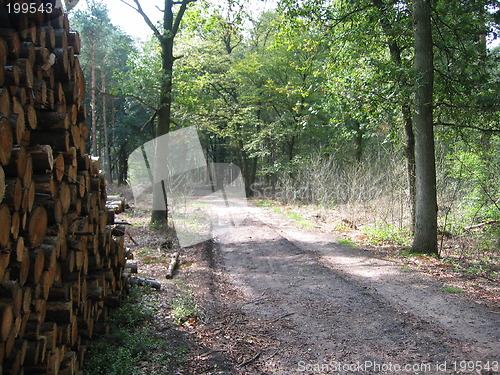 Image of Path in Castricum