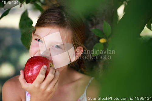 Image of Young girl eating an apple