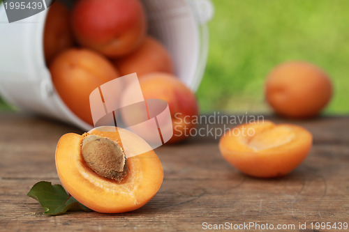 Image of Apricots with leaves