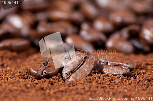 Image of Coffee beans