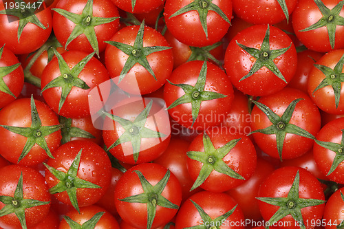 Image of Small cocktail tomatoes