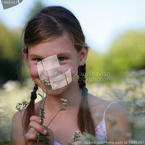 Image of Young girl on a flower meadow