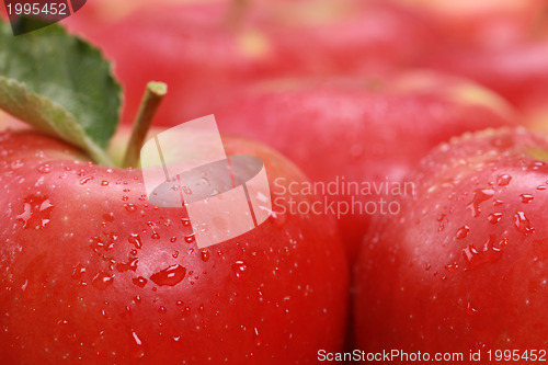 Image of Red apples