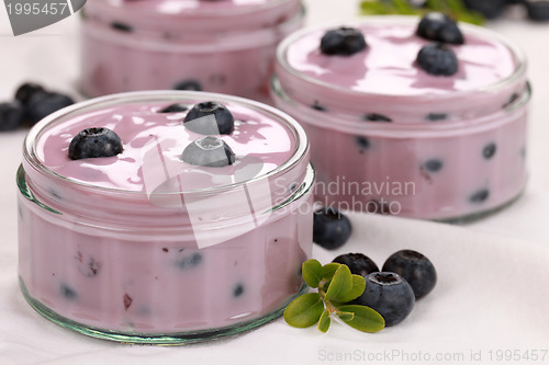 Image of Yogurt with blueberries served in glass bowls