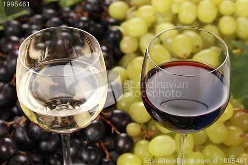 Image of Red and white wine