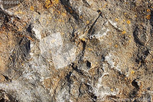 Image of Stone surface rarely with lichen