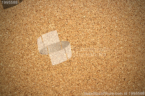 Image of closeup of textured cork