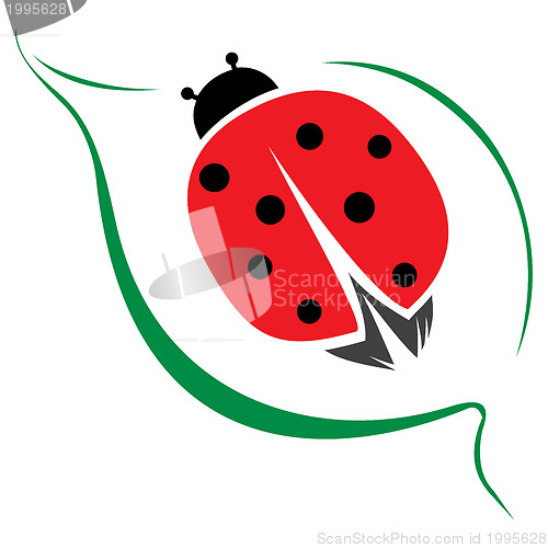 Image of Lady bug