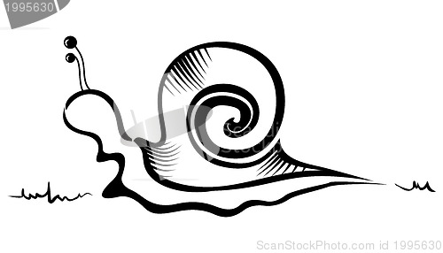 Image of Snail