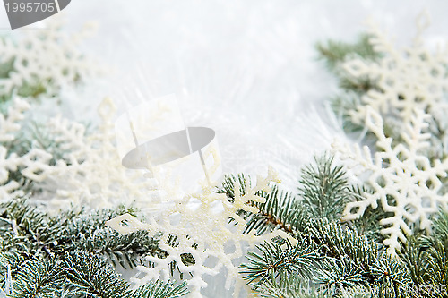 Image of Snowy spruce branches
