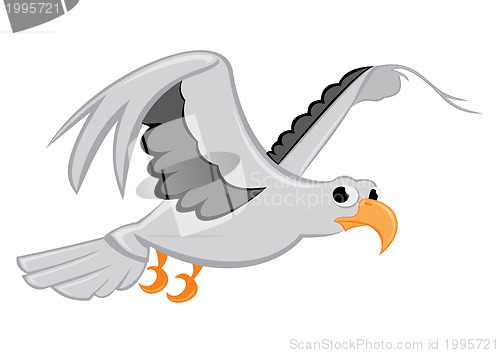 Image of Bird flying