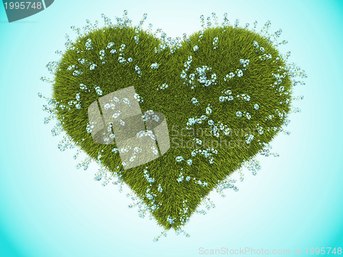 Image of Green grass heart with forget-me-not flowers