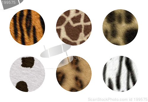 Image of Animal buttons