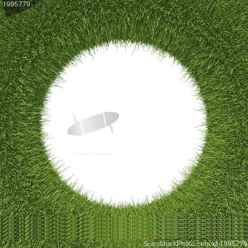 Image of Green grass pattern with hole