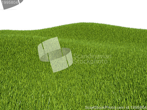 Image of Green grass meadows and hills 