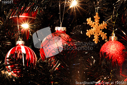 Image of Christmas tree