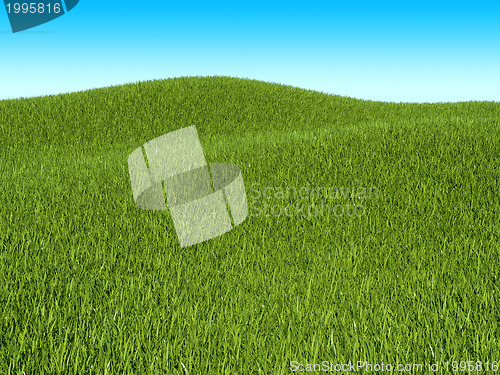 Image of Summer landscape: green grass meadow