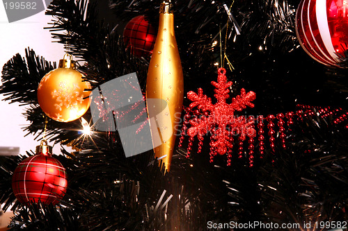 Image of Christmas tree