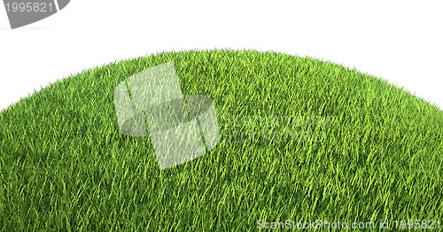 Image of Green grass on hill isolated on white