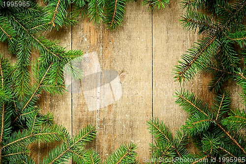 Image of christmas fir tree frame 