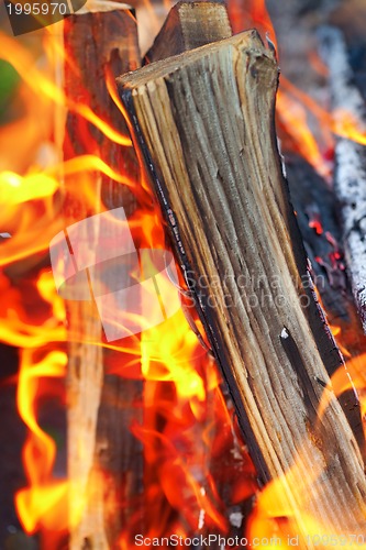 Image of Bonfire close-up view