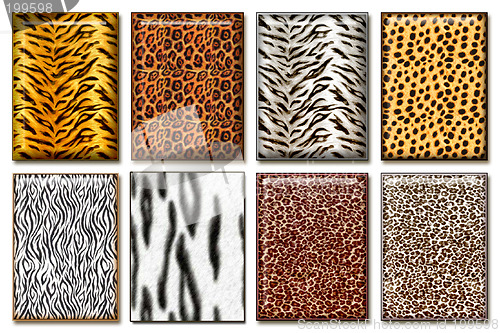 Image of Wild animal skin