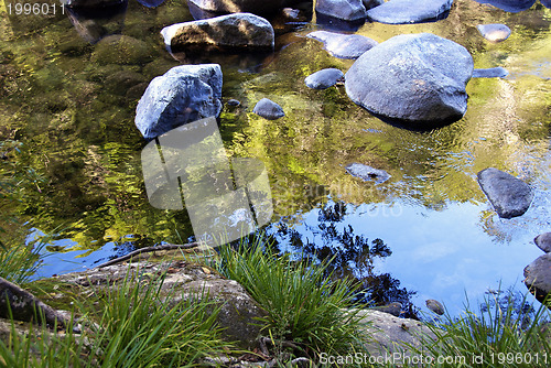 Image of Vegetation in Mossman Gorge, Queensland