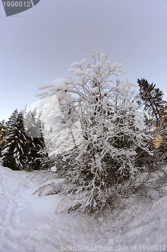 Image of Snowy Landscape of Dolomites Mountains during Winter