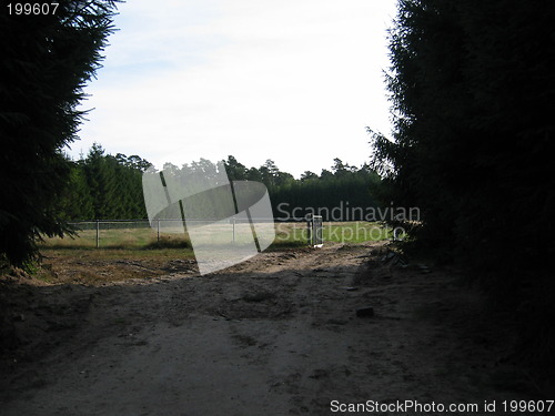 Image of Dutch landscape