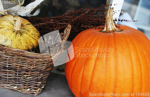 Image of Pumpkin and gourd