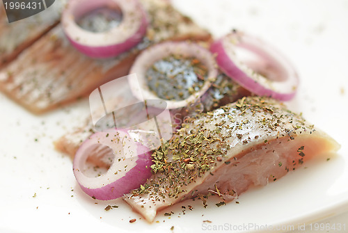 Image of herring