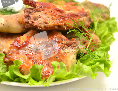 Image of rabbit