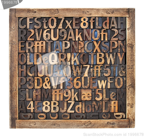 Image of vintage wood type printing blocks