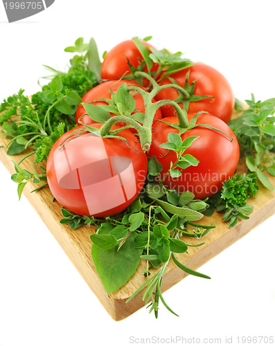 Image of Tomatoes And Herbs