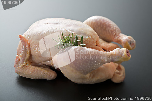 Image of Raw chicken