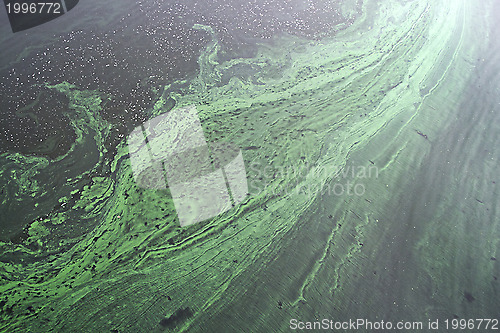 Image of Water pollution