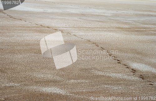 Image of Salty land and footprints