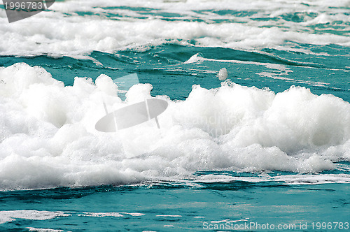 Image of Sea foam