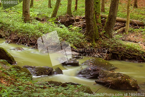 Image of Mountain stream in a forest