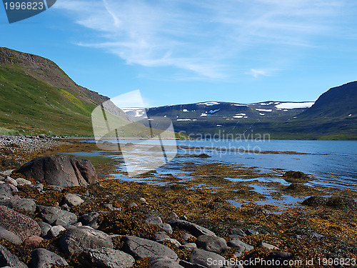 Image of Hornstrandir nature reserve, Iceland