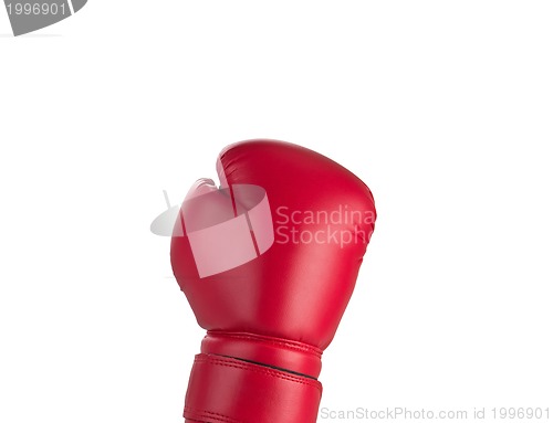 Image of Red boxe glove up