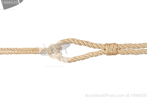 Image of rope with knot, isolated on white