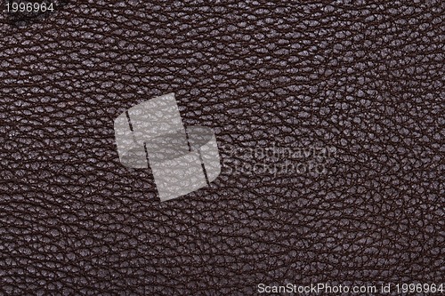 Image of Natural qualitative brown leather texture. Close up.