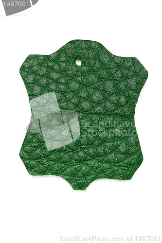 Image of green leather