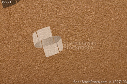 Image of Skin texture background
