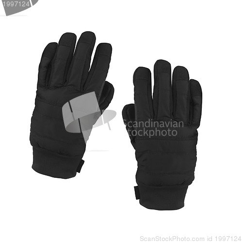 Image of studio photo of black winter gloves