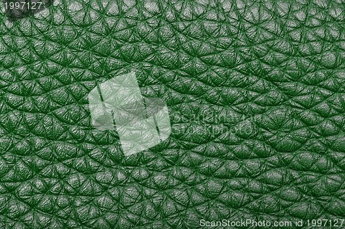 Image of green leather