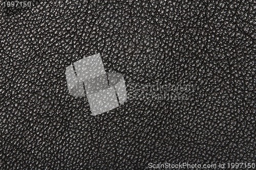 Image of Black leather texture closeup.